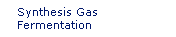 Synthesis Gas Fermentatiion