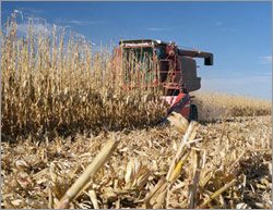 Photo of farm machine harvesting corn stover.