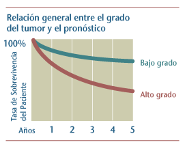 Grfica lineal de la relacin general entre el grado del tumor y el pronstico a cinco aos.