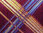 Polarized Light Microscopy Slide of Asbestos Fibers.