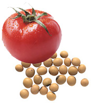 Genetically modified tomato and soybeeans.