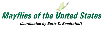 Mayflies of the United States, Coordinated by Boris C. Kondratieff