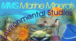 MMS Marine Minerals - Environmental Studies