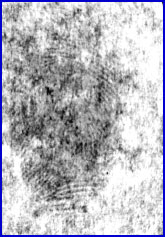Figure 1B is a photograph of the same fingerprint developed using visible absorption chemical imaging followed by substrate division to correct for background effects.