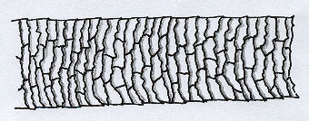 Figure 8 is a diagram of imbricate scales.