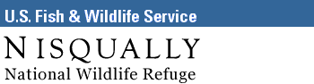 Nisqually National Wildlife Refuge logo