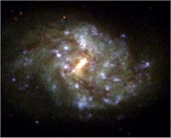 The spiral galaxy NGC 1087 
