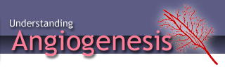 Understanding Angiogenesis