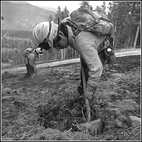A wildland firefighter with shovel