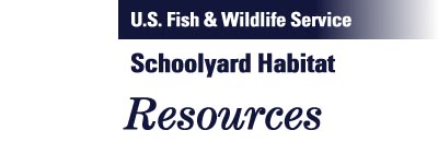Schoolyard Habitat: Resources