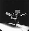 Arabidopsis thaliana <BR>(Image 2) - Thumbnail
