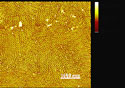 Alumina Nanopores<BR>(Image A) - Thumbnail