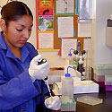 Agriculture Summer Science (Image 2) - Thumbnail
