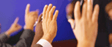 Picture of hands raised, as if volunteering to answer a teacher's question
