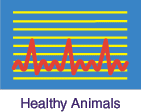 Electrocardiograph chart: link to Healthy Animals