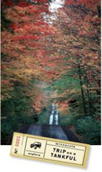 photo of a fall color auto tour road