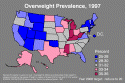 SLIDE 16. (Overweight map) gif