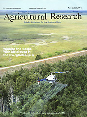 Cover of November 2004 Agricultural Research Magazine: Link to Table of Contents online