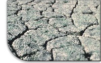 [Photo of parched and dry cropland]