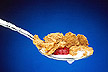 Cereals can be rich in vitamin B12