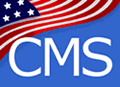 cms.hhs.gov American Flag Website Logo