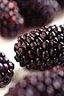 Black Butte blackberries