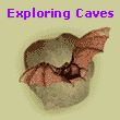Link to lesson plan, EXPLORING CAVES. Image shows a bat flying out of a cave.