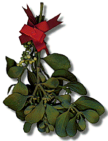 Picture of ornamental mistletoe