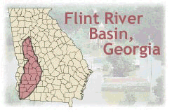 Map of Georgia showing the Flint River basin.