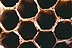 [Honeycomb image]