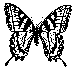 Thumbnail Sketch of Adult Butterfly (Swallowtail). Artwork by Dale Crawford.  (click for large image)