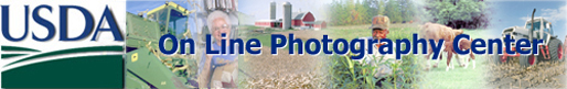 On Line Photography Center Banner