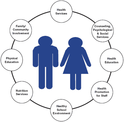 The eight components of a Coordinated School Health Program are: Health Services; Counselling, Psychological & Social Services; Health Education; Health Promotion for Staff; Healthy School Environment; Nutrition Services; Physical Education; Family/Community Involvement.