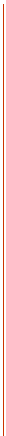 vertical red line