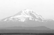Image, ca.1913, Mount Adams, click to enlarge