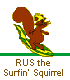 RUS - The Surfin Squirrel