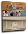 November 2003  issue of AmberWaves