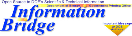 Information Bridge Large Logo Image
