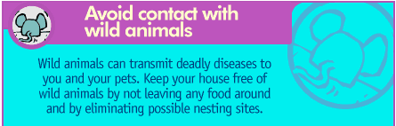 Avoid contact with wild animals