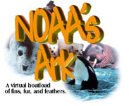 NOAA's Ark Banner