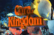 Coral Kingdom Banner