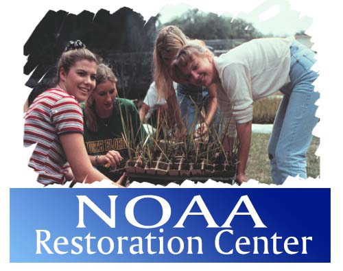 Collage featuring women restoring wetlands with NOAA Fisheries Restoration Center Banner