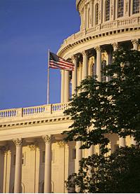 Picture of US Capitol building in part with American Flag