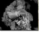 Scanning electron micrograph of NanoActive Magnesium Oxide Plus.
