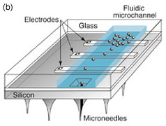 diagram of microneedle array