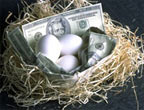 money inside a bird's nest