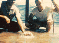 photo of scientists at a flowing well in Biscayne Bay