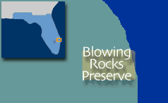 Map showing location of Blowing Rocks Preserve
