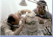 Photo of Professor White removing plaster jacket