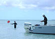 photo of a USGS scientists collecting samples